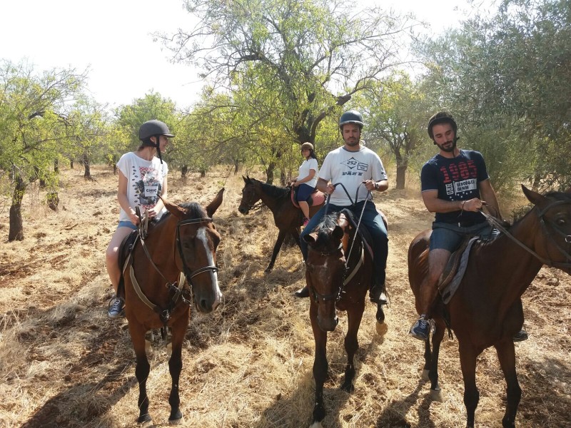 Passeggiata a cavallo nella campagna di Siracusa