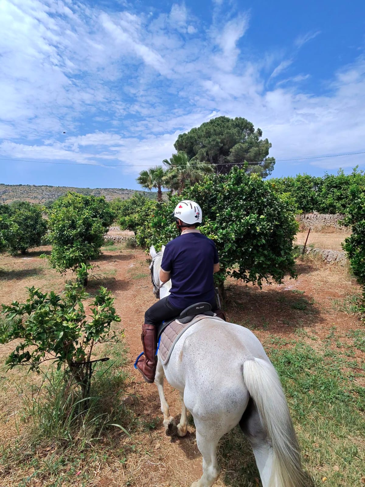 Passeggiata a cavallo nella campagna di Siracusa