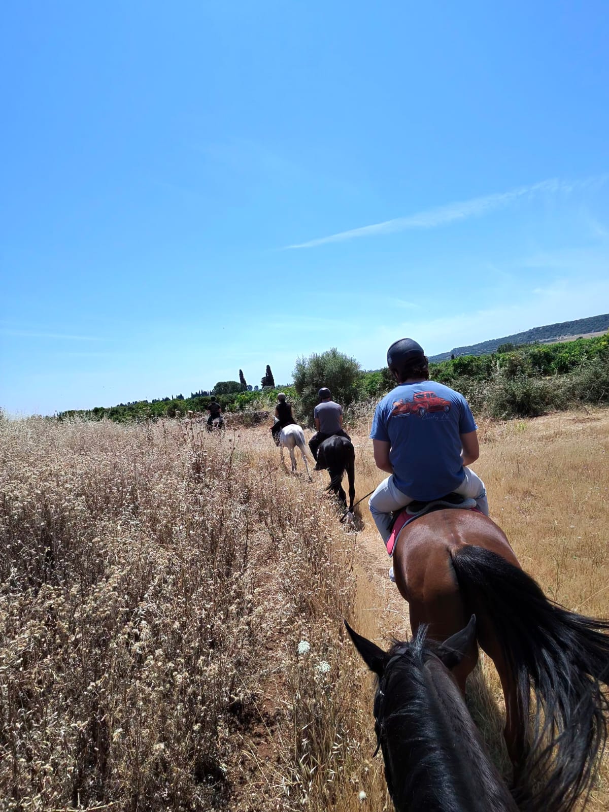 Passeggiata a cavallo nella campagna di Siracusa