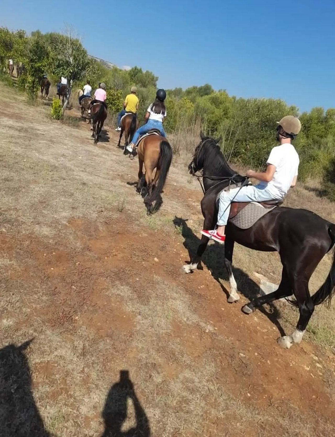 Passeggiata a cavallo nella campagna di Siracusa
