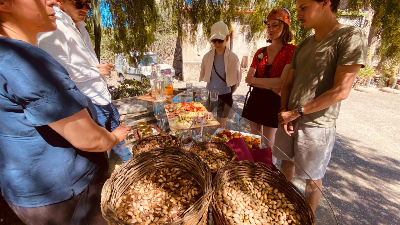 Visita ai pistacchieti di Bronte con degustazione