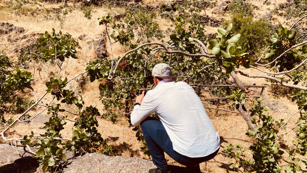 Visita ai pistacchieti di Bronte con degustazione