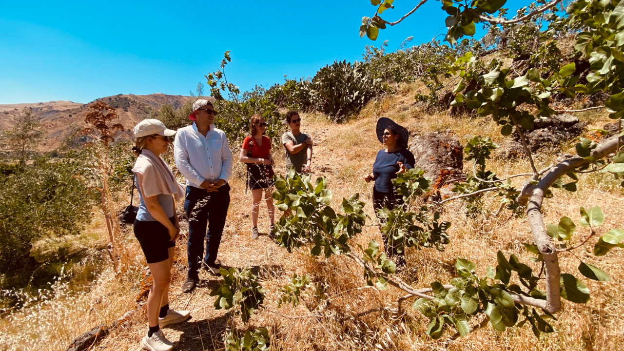 Visita ai pistacchieti di Bronte con degustazione