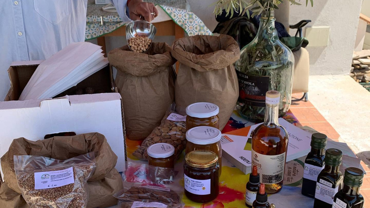 Tour rurale in azienda agricola biologica ad Avola con degustazione