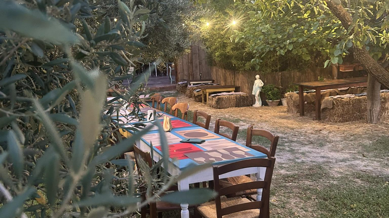 Tour rurale in azienda agricola biologica ad Avola con degustazione