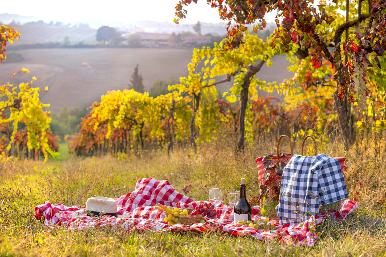 Messina: Picnic in Vigna con Degustazione di Tre Vini