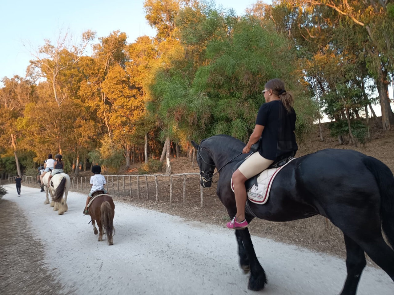 Passeggiata a cavallo di 1 ora a Santa Maria del Focallo