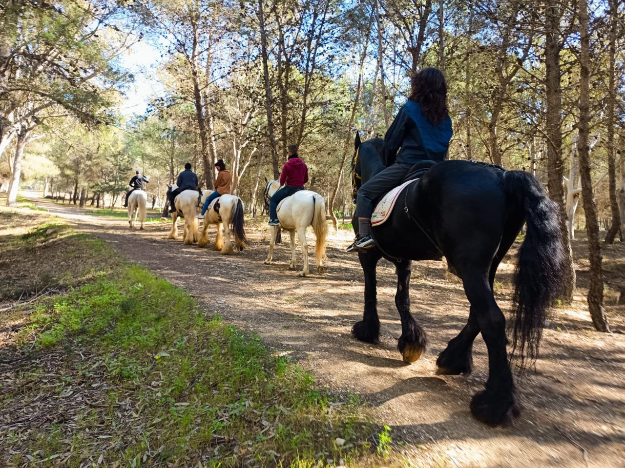 Passeggiata a cavallo di 1 ora a Santa Maria del Focallo