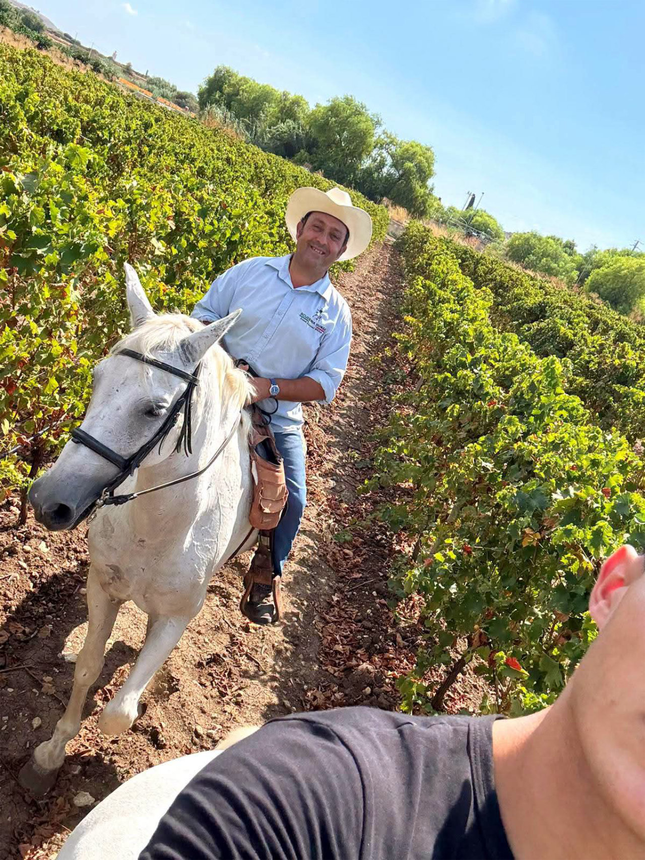 Passeggiata a cavallo tra uliveti e agrumeti nella Val di Noto