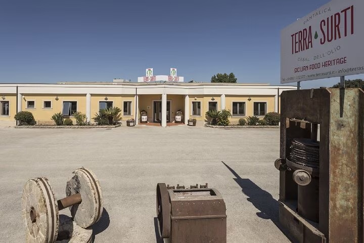 Tour dell’olio a Sortino: uliveto, frantoio e degustazione