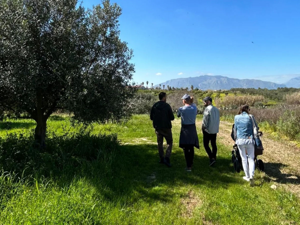 Frantoio siciliano e olio extravergine d'oliva prodotto durante esperienze didattiche