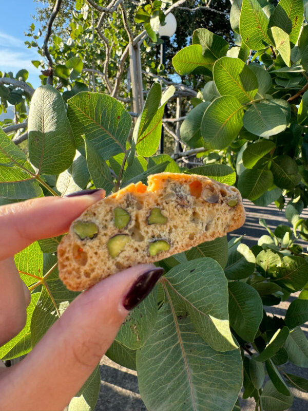 Biscotto artigianale con pistacchi di Bronte, tenuto in mano, con foglie di un albero di pistacchio sullo sfondo.