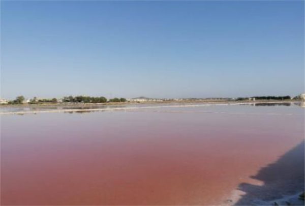 Sale e Sole, Sole e Sale, Riserva naturale delle Saline di Trapani Paceco