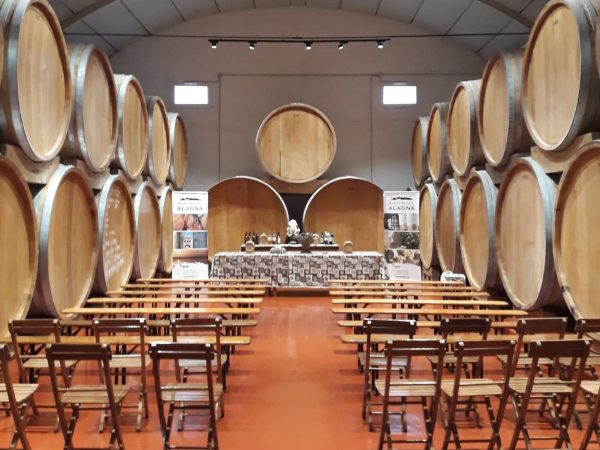 Un Viaggio nel Gusto: Tour e Degustazione da Alagna Vini