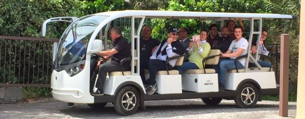 Shuttle Tour alle Gole dell’Alcantara – La natura a portata di mano