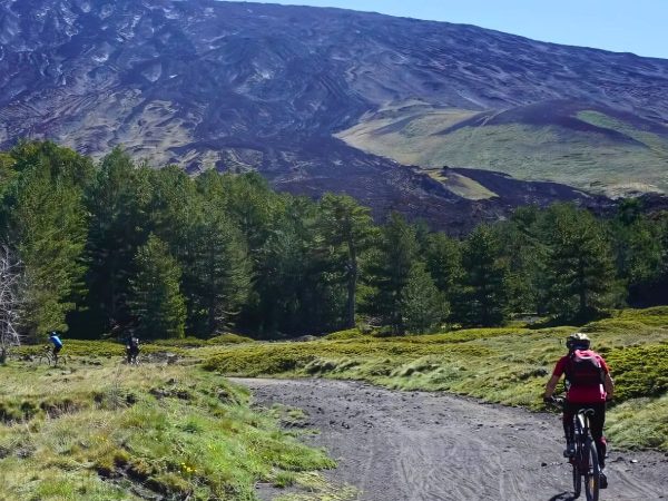 Tour in bici Bronte Maletto percorso impegnativo tra lava, boschi e panorami